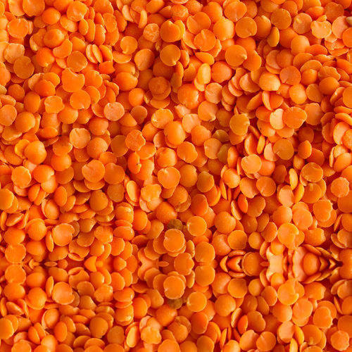 Red Lentil - Premium Quality, High Nutritional Value & Rich Taste | Assured Freshness and Client Satisfaction