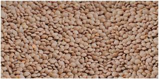 Whole Lentils