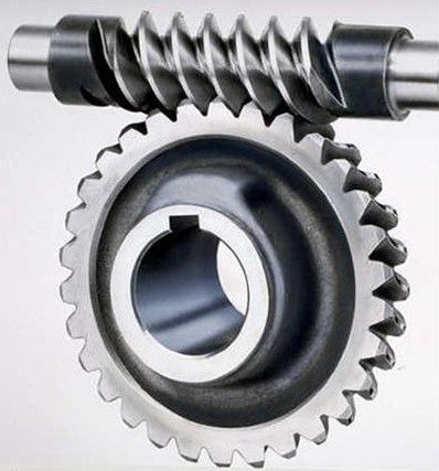 Worm Gear And Shaft