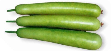 BOTTLE GOURD Seeds