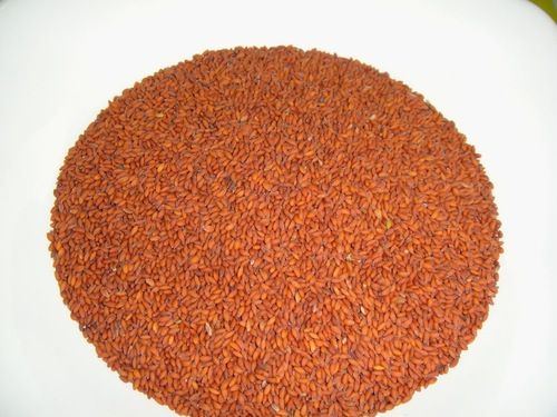 Asaliya Seed