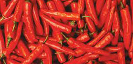 Red Chilly