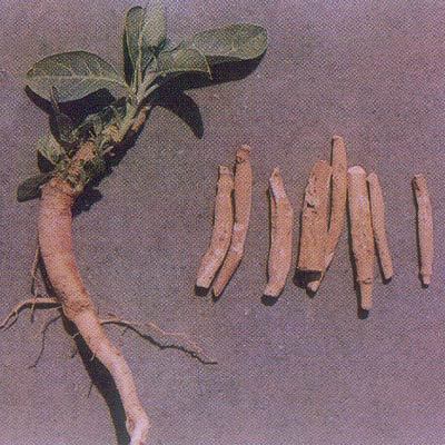 Ashwagandha Extract