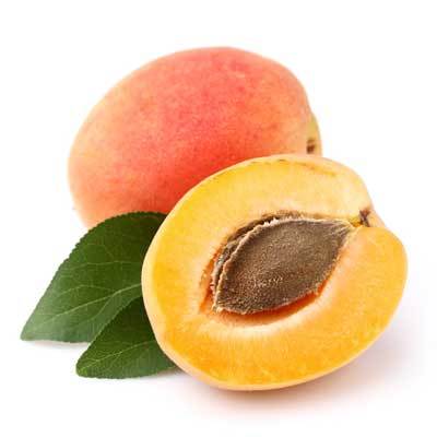 Apricot