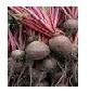 Beetroot