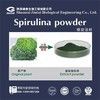 Organic Spirulina Extract Chlorella Protein Powder