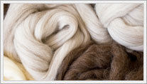 Woollen Carded Yarn