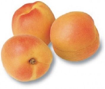 Apricot