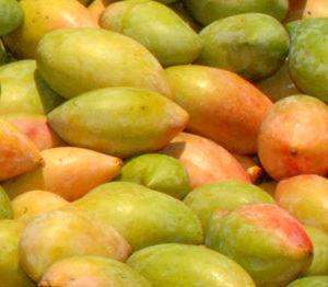 Organic Totapuri Mangoes