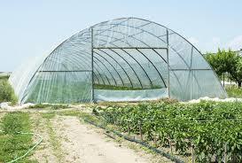 Commercial Use Green House Shade Net