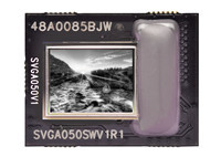 0.6 inch Display Microdisplay SVGA