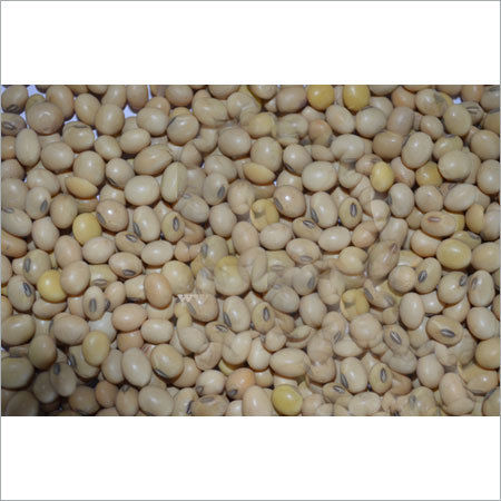 Organic Soya Bean Seeds