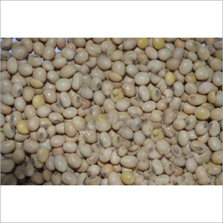 Soya Bean Seeds