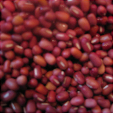 Super Quality Grey Millet