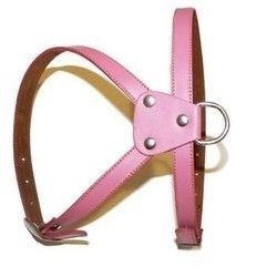Colored Dog Harness