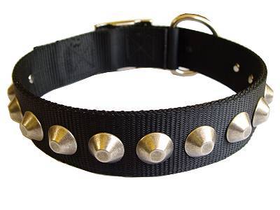 Automatic Dog Collar