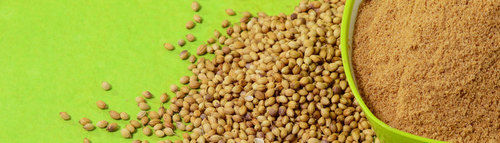 Coriander Powder