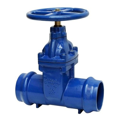 Vishnu Gate Valves