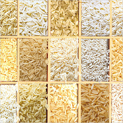 New Crop Long Grain White Rice