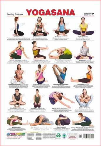 Multicoloured Yogasana 2 (Seating Postures) Chart at Best Price in ...
