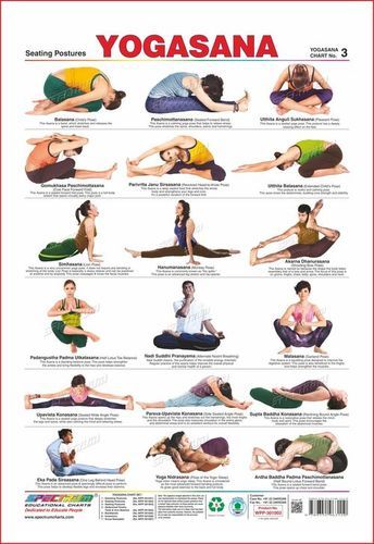 International Yoga Day 2023: Easy Yoga Asanas With Names and Pictures for  Beginners To Follow a Healthy Routine | 🍏 LatestLY