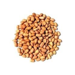 Groundnuts Seed