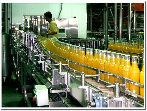 Bottle Conveyor System