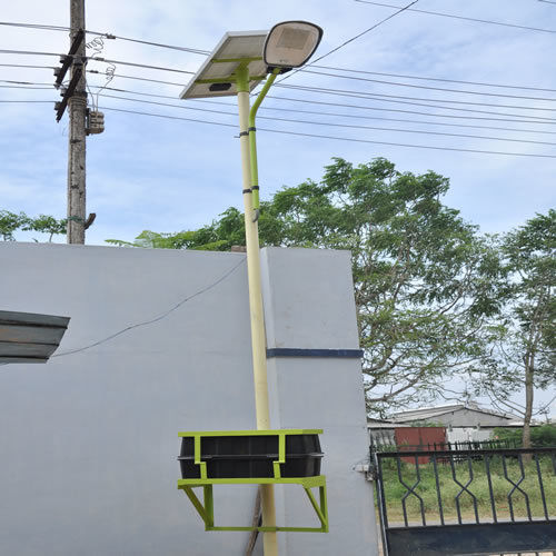 Solar Street Lighting System