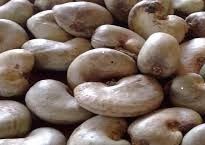 Raw Cashew Nuts