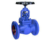 Globe Valve