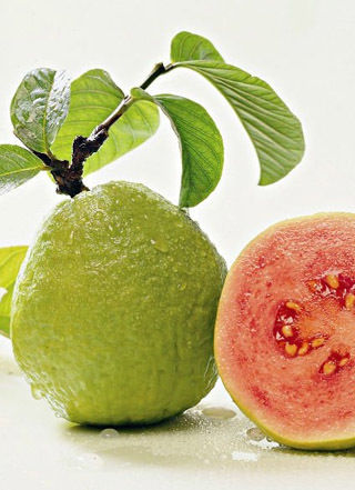 Guava