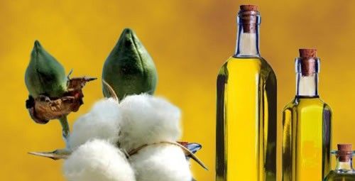 Refined Cotton Seed Oil