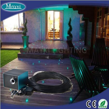 Fiber Optic Garden Outdoor Light Kit With LED Generator And Black Sleeve Fiber Optic Tails