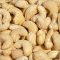 Fresh Cashew Nuts