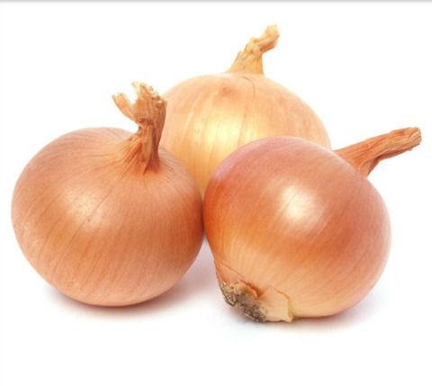 Export Quality Onions