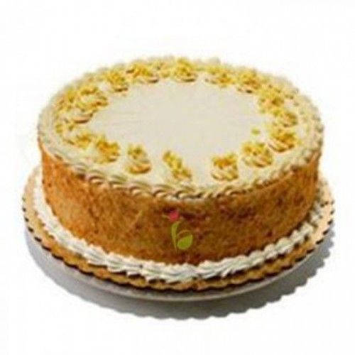 Cake Decorating Supplies | Cake Flora | Gauteng