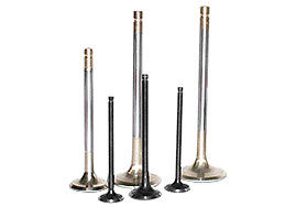 Rane Engine Valves