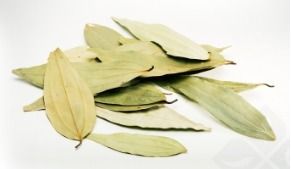 Bay Leaf