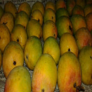 Mangoes