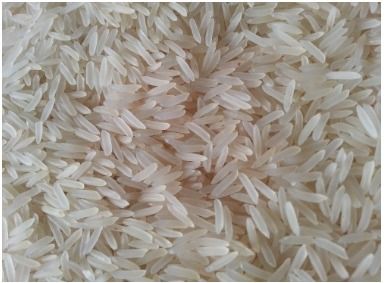 Sharbati White Sella Rice