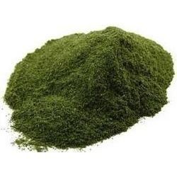 Neem Leaves Powder