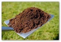 Garden Manure