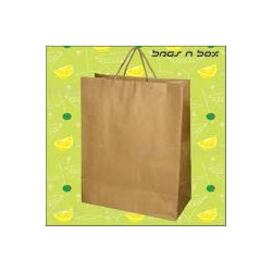 Plain Paper Bags