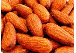 Almond Oil