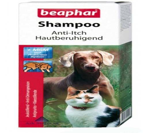 Anti Itch Shampoo For Dogs and Cats