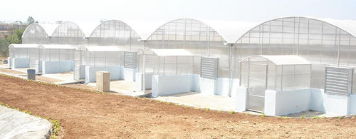 Fan and Pad Greenhouse