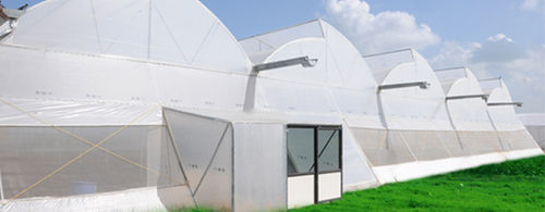Naturally Ventilated Greenhouses