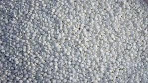 Conn Biodegradable Plastic Granules