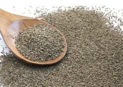 Ajwain Seed