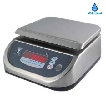 Digital Weighing Machine